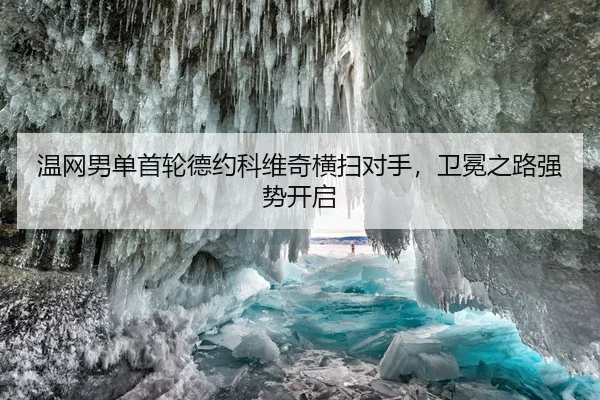温网男单首轮德约科维奇横扫对手，卫冕之路强势开启