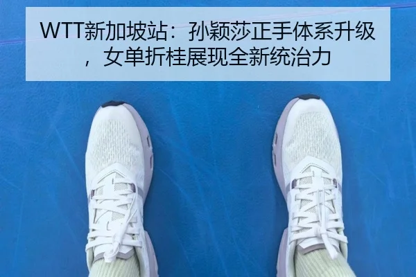 xin-jia-po-zhan-sun-ying-sha-zheng-shou-ti-xi-sheng-ji-nv-dan-zhe-gui-zhan-xian-quan-xin-tong-zhi-li-2-838.jpg
